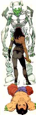 Ronin