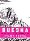 Buddha Volume 2: The Four Encounters