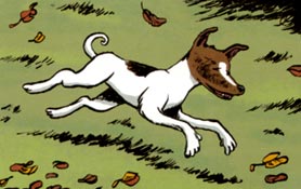 Laika