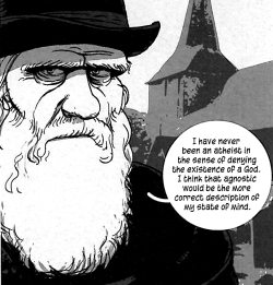 Darwin: A Graphic Biography